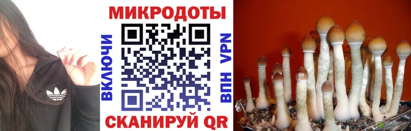 блэк спрут tor  магазин продажи наркотиков  Альметьевск  Галлюциногенные грибы мицелий 